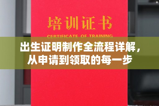 中堂出生证明制作全流程详解，从申请到领取的每一步