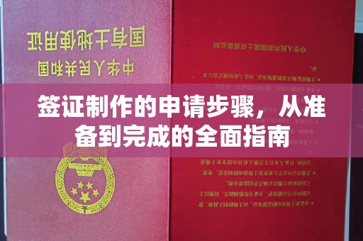 中堂签证制作的申请步骤，从准备到完成的全面指南
