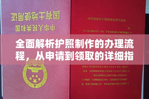 中堂全面解析护照制作的办理流程，从申请到领取的详细指南