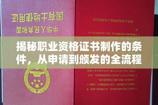 中堂揭秘职业资格证书制作的条件，从申请到颁发的全流程解析