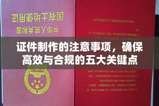 中堂证件制作的注意事项，确保高效与合规的五大关键点