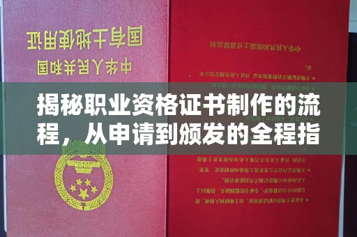 中堂揭秘职业资格证书制作的流程，从申请到颁发的全程指南