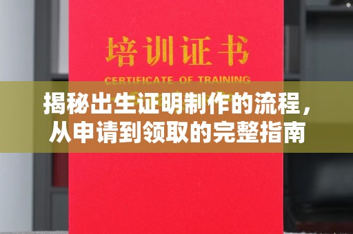 中堂揭秘出生证明制作的流程，从申请到领取的完整指南