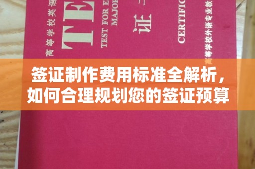 中堂签证制作费用标准全解析，如何合理规划您的签证预算？